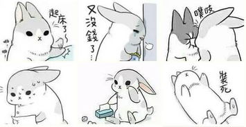  有关这个兔子ˊ几的全套图