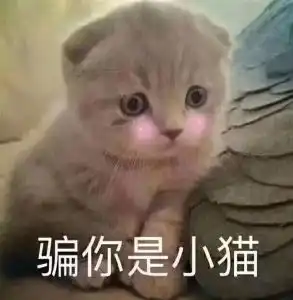  无知名度无销售渠道拿什么营销拯救品牌