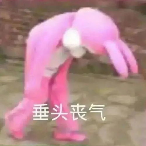  斗图精选表情包大声点,我近视