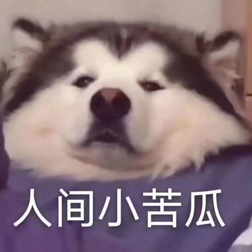  找室友武侯区机投桥武青南路武侯立交地铁站