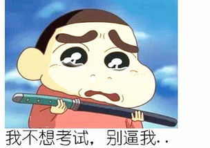  14个不可不知的奇葩学生等级你是学糕吗