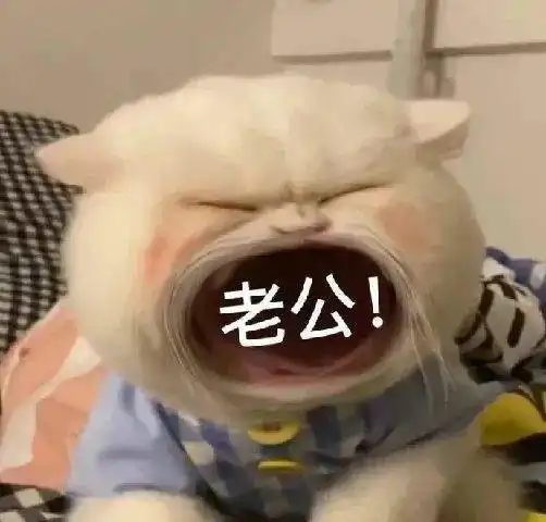  超惊艳的情侣头像