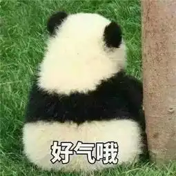  看完00后的化妆台我这个90后老阿姨瞬间想抗初老了......
