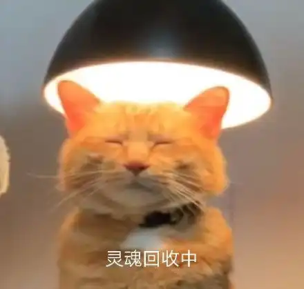  青蛙舞剑gif动图动图gif舞剑青蛙表情