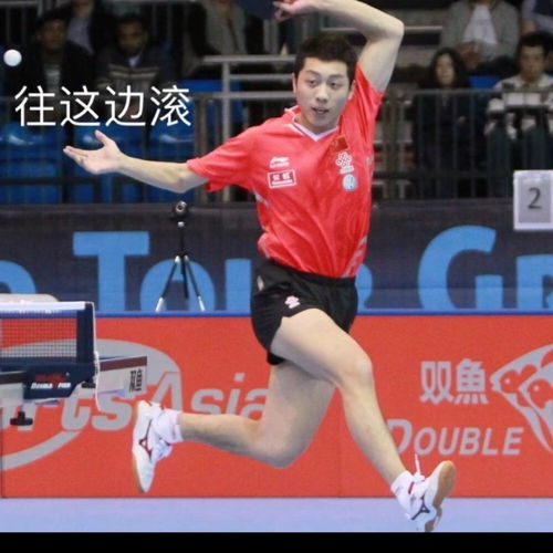  国乒届喜剧人许昕表情包