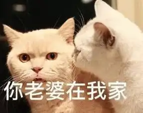 可爱想表情包猫猫