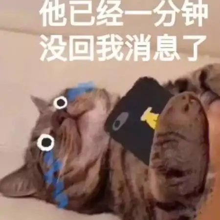  最近超级火的沙雕表情您的女朋友到期了,请问续不续费