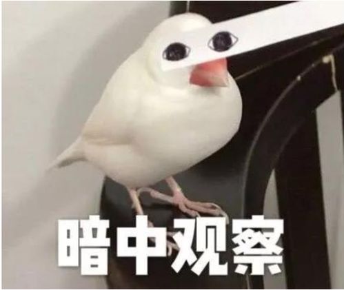  最受老外欢迎的10大emoji表情有你常用的吗