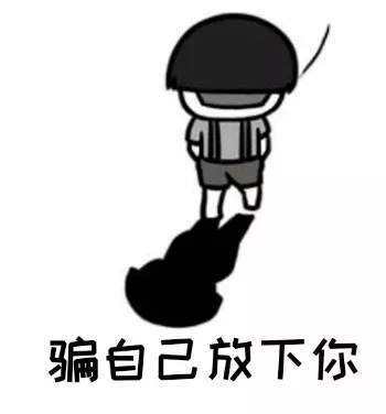  我不曾爱过你我自己骗自己,骗得了别人骗不了自己