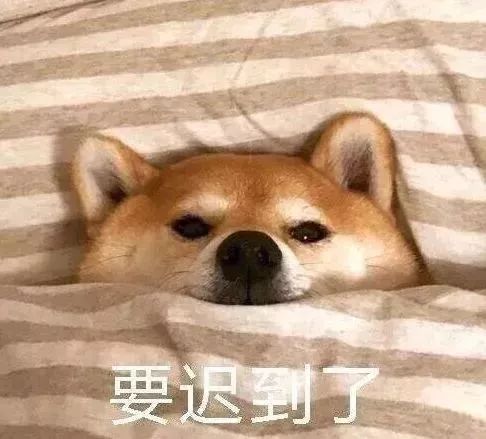  雪雪雪气温暴跌至8c,寒潮再袭信阳大范围雨雪天气来啦