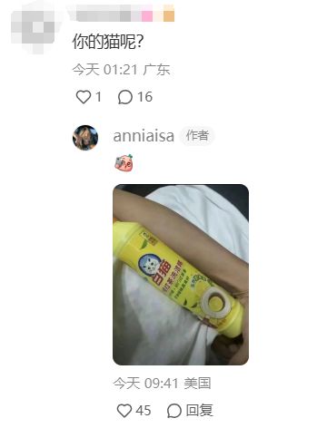  笑裂了一生幽默的中国网友,正在强行征收外国友人们的猫税