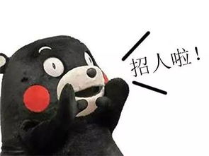  柳州一大批铁饭碗好单位招人了工资高福利好赶紧来