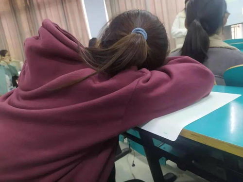  看,你在信院体会过的人间真实