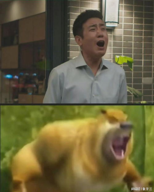  于和伟晒经典表情包,喊话网友为啥p图,果然官方玩梗最为好笑