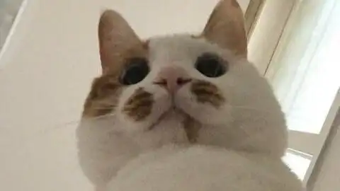  郑钱花献给和我一样的穷光蛋父亲们