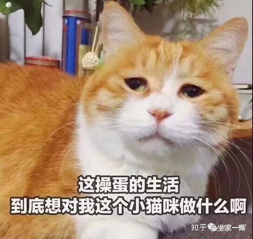  微商真的可以一个月挣好几万吗