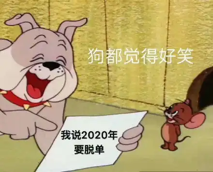 ghs动图的表情包网站猫