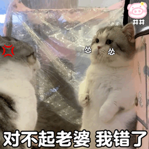  别怪我心狠手辣