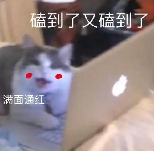  搞笑gif白菜有没有拱着不知道,反正养了20多年的猪肯定是丢了