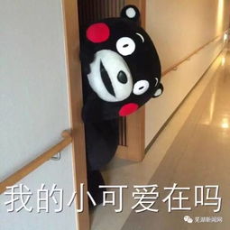  长江无为黑沙洲段活捉几只小可爱全身铅灰色头部浑圆,猜猜是什么....