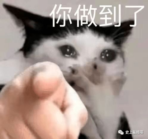  手机语音千万不要随便外放哈哈哈哈哈哈已经在疯狂窒息了...