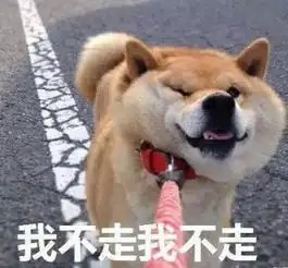  考试周不要叫我的名字,请叫我过儿