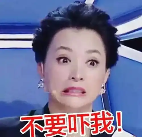 表情包分类董卿