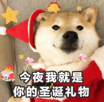  在圣诞节一个人快到我怀里来