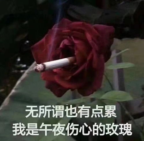  骗室友我有对象了然后她问我这个对象是不是柳梦梅