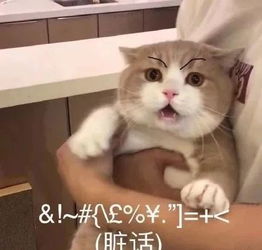  这年头连鸭都有锁骨了你还没有你还好意思吃鸭锁骨