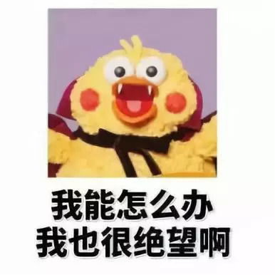  玉女心经颜值从出生豪门到家道中落是一种怎样的体验
