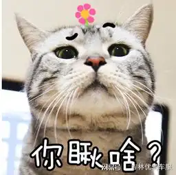  做了汽车编辑之后,满满的.....优辆车服
