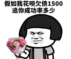  差别巨大为何花呗要分提前还款与自动还款网友后悔提前还了