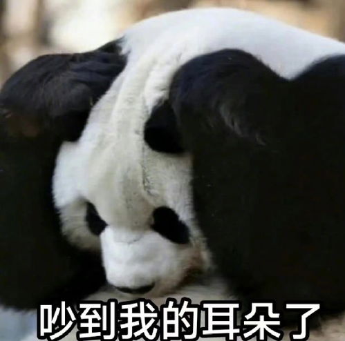  组图张馨予发博呼吁文明观赏大熊猫配表情包祝大家假期快乐