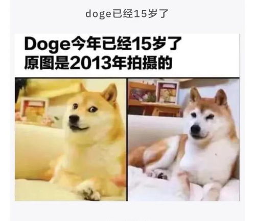  岳母和媳妇长得太像了,我怕认错了怎么办搞错了哈哈哈
