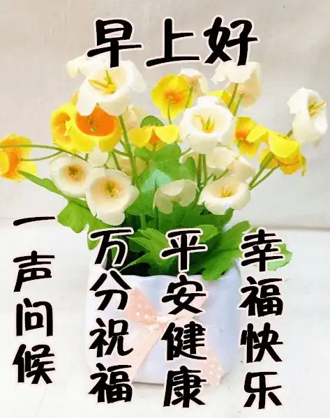 表情包早安中老年