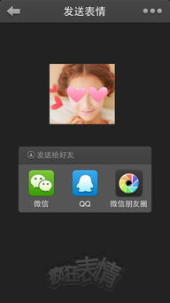 自制微信表情包可爱疯狂