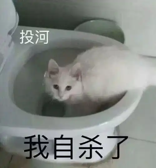  斗图小表情12.27