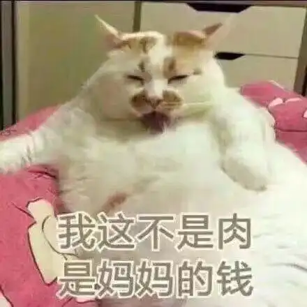  寒假你打算怎么月半