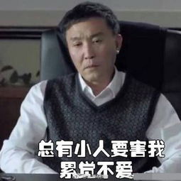 爆红的达康书记表情包今天你用了吗