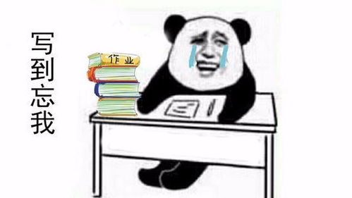 搞笑的表情图片大全搞笑