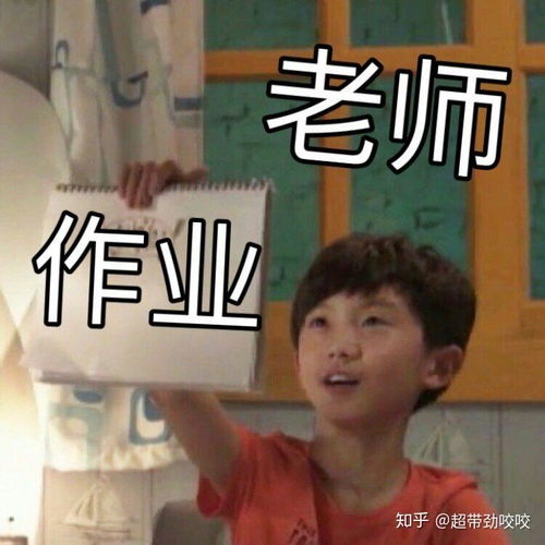 有没有什么关于交作业的表情包