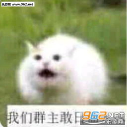  我们群主敢日五档电风扇表情包我们群主敢日表情包下载乐游网游戏下载