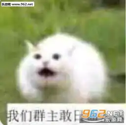  我们群主敢日五档电风扇表情包我们群主敢日表情包下载乐游网游戏下载