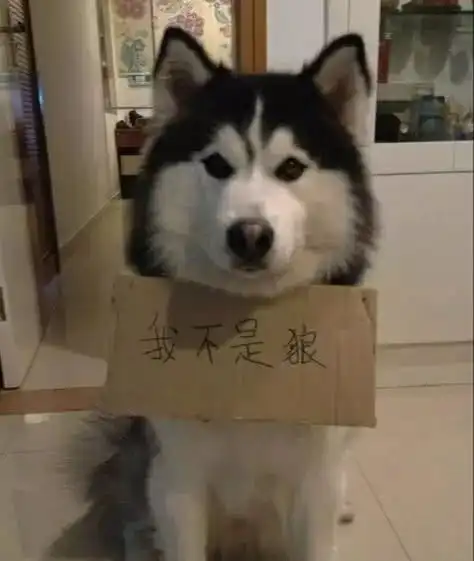  开心一刻笑话楼下超市老板老板娘吵架,老板娘一气之下回了娘家