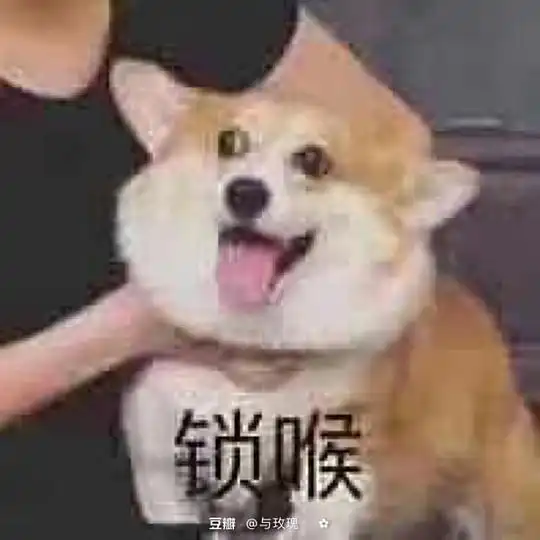 沙雕表情包软件幸运的人