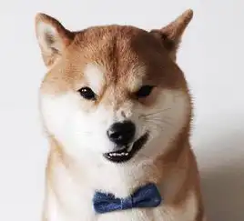  狗狗便秘拉不出且乱叫