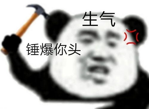 无法无天东港镇惊现偷狗面包车,将狗强行拖走