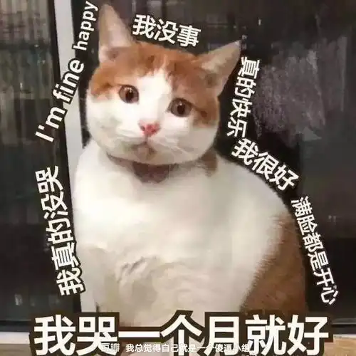  应了组名