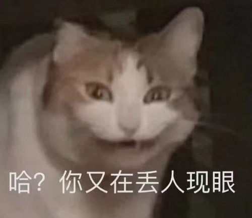 猫爪系列表情包骂骂咧咧